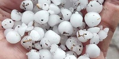 DOLU EKİLİ ALANA ZARAR VERDİ