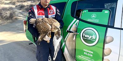 KIZIL ŞAHİN KORUMA ALTINA ALINDI