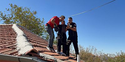 Miras meselesi nedeniyle bunalıma giren 56 yaşındaki kadın, çatıya çıkarak elma ilacı içeceğini belirtti; Emniyet Müdürü son anda kurtardı.